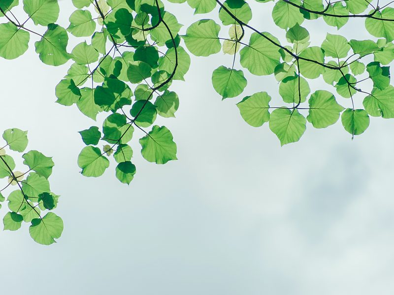 The Sustainable Cloud Provider – vBoxxCloud